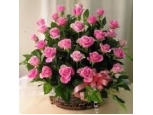 Elegant Outlooks - 24 Stems In Basket